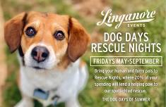 Dog Days at Linganore