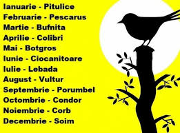 Botgrosul face parte din familia fringillidae. Horoscopul PÄƒsÄƒrilor Ce InaripatÄƒ EÈ™ti In FuncÈ›ie De Ziua NaÈ™terii