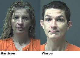 Michelle Lingo's Instagram, Twitter & Facebook