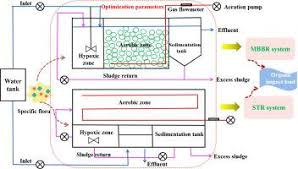 Study On Optimization And Performance Of Biological Enhanced Activated Sludge Process For Pharmaceutical Wastewater Treatment Science Of The Total Environment X Mol