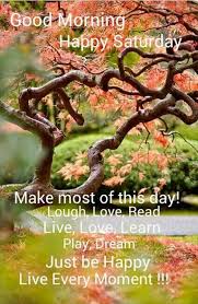 Saturday is the most awaited day of the week. 95 Funny Saturday Memes With Hilarious Images Littlenivi Com