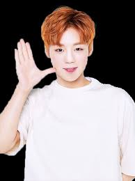 I don't think i can ever have. Png Render Park Jihoon Wanna One Png By Meirintee On Deviantart