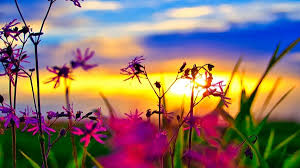 June ends on the same day of the week as march every year. Weekly Meanderings 13 June 2020 Jesus Creed A Blog By Scot Mcknight