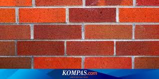 Apr 02, 2021 · karena jika batako atau bata merah sangat sulit membuat acian tanpa plesteran. Haruskah Batu Bata Dicat Cek Dulu Di Sini Halaman All Kompas Com