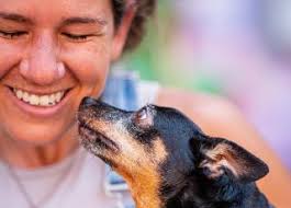 Supporting pets and their people in the DTES