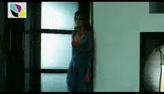 Raqeeb dancer in song (2007). Top 30 Sherlyn Chopra Gifs Find The Best Gif On Gfycat