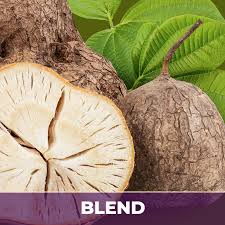 Image result for Pueraria