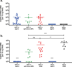 The hsv 1 igg test is a chemiluminescent immunoassay (clia), for use on ids automated analyzers, for quantitative determination of specific igg class antibodies directed against the herpes simplex virus type 1 (hsv 1) in samples of human. Model Of Vaccine Efficacy Against Hsv 2 Superinfection Of Hsv 1 Seropositive Mice Demonstrates Protection By Antibodies Mediating Cellular Cytotoxicity Npj Vaccines