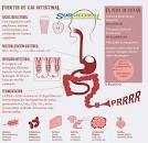 Surmedikal Oxigenoterapia - EXCESO DE GASES INTESTINALES ...