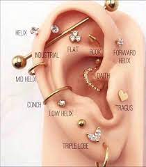 Pin By Kacie Zuspan On Jewelry In 2021 Pretty Ear Piercings Cute Ear Piercings Earings Piercings