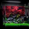 What can i use to clean my nicrew aquarium? Https Encrypted Tbn0 Gstatic Com Images Q Tbn And9gcr3 Nrpi Emgko0mbp89so J0qtbwypscvh32u5jags0m36fnok Usqp Cau