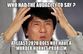 Nelson muntz throws hornets' nest at groundskeeper willie. 21 Murder Hornet Memes To Sting Your Funny Bone Funny Gallery