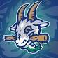 Yard Goats Game