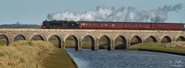 Image result for give peas a chance m25