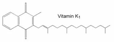 Тидного лиганда и других групп атомов). What Is The Chemical Structure Of Vitamin K Quora