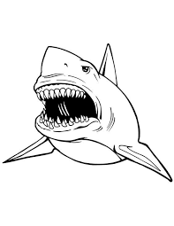 Image For Great White Shark Coloring Pages For Kids Shark Shark Coloring Pages Animal Coloring Pages Shark Drawing