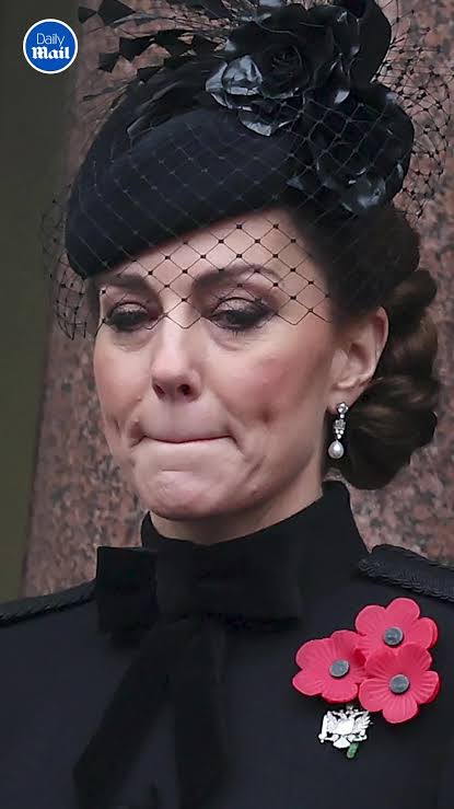 Emotional Remembrance Day of Princess Kate Middleton and the Royal Family