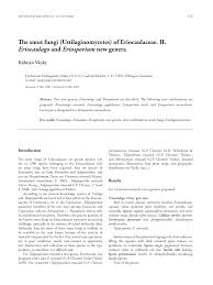 Image result for Syngonanthus welwitschii