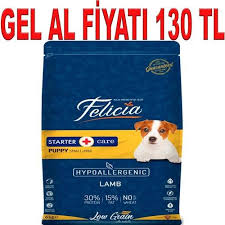 felicia yavru kopek mamasi kuzulu s m az tahilli 6 kg yavru kopek kopek kedi