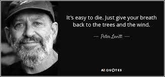 QUOTES BY PETER LEVITT
