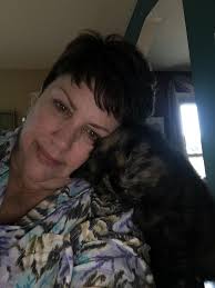 This is my 2 and half bella,she went to the rainbow 🌈 bridge last Friday  from liver failure. I researched that ragdoll cats are very prone to liver  disease please keep a