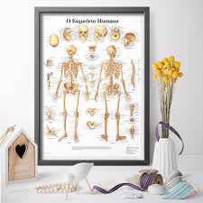 Us 7 84 Scientific Model Of Human Skeletal System Chart Education Poster Canvas Painting Art Print Poster Wall Art Pictures In Painting