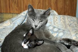 Тётя с племянником: fr0005 — LiveJournal