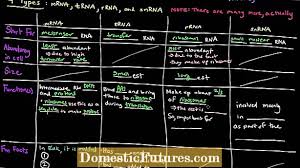 Kazma nedir kazma anlamı kazma ne çağırmak. Kazma Catali Islevleri Bahcelerde Kullanilan Kazma Catali Nedir Bahce 2021