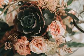 Vanessa and Jack — Collected With Love