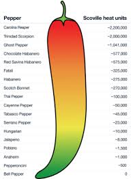 21 Rational Chili Scale