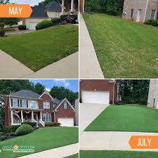 Answer a few questions about. Our Lawn Care Service Results All Turf Lawn Care