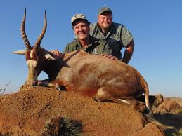 There are entire books, forums and websites dedicated to the choice of a proper projectile for african dangerous game, and rightfully so—those animals are, after all, dangerous.but there are many more species of what are collectively referred to as plains game—those antelope, swine and other smaller species of game animals—which offer great sport, even in the dangerous game blocks of africa. List African Plains Animals 10 Facts About The African Savanna Mystart For Information About Our Use Of Cookies And Our Partners Who Use Cookies On Our Site Please See Our