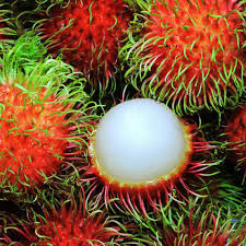 Organic rambutan