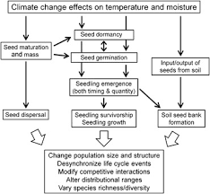 Flow Chart Showing The Effects Of Climate Change On Plant