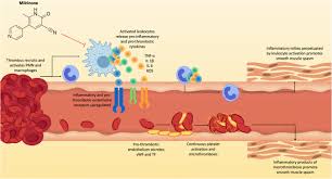 Image result for Milrinone