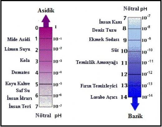asit örnekleri ile ilgili görsel sonucu"