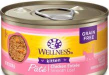 Whether it's canned or dry food that you're after, we've picked and reviewed the very top brands that you can depend on. The 10 Best Cat Foods For Indoor Cats 2021 Reviews Petlisted