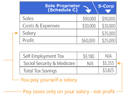Http Www Mymoneyblog Com Images 0902 Scorp Gif Self Employment Income Tax S Corporation