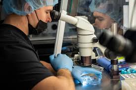 IVF parents get new warning after data breach