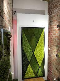 Moss Wall Preserved Moss Moss Wall Art Green Wall Design Moss Wall