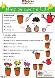 For months or even years a seed may remain dormant (inactive). How To Plant A Bulb Teaching Resources