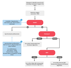 We did not find results for: Pals Tachycardia Initial Management Algorithm Acls Medical Training