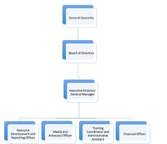 Organizational Structure