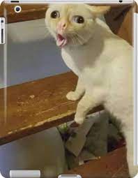 Pin On Crazy Funny Memes