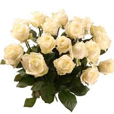 Blaue Rosen und weiße Rosen online bestellen/kaufen und ...
