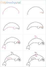 How To Draw A Orca Step By Step 8 Easy Phase It's super easy art tutorial how to draw animals for kids and adults, only follow. how to draw a orca step by step 8