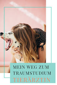 Du Mochtest Tiermedizin Studieren Weisst Aber Nicht Wie Mein Weg Zum Traumstudium Hunde Tiermedizin Tierarzt