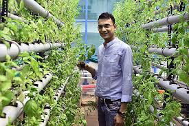 How India S Hydroponic Farmers Are Building Businesses Forbes India