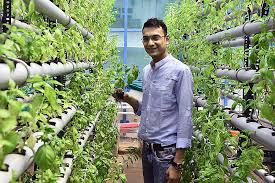 Looking for mexico farms or acreages for sale? How India S Hydroponic Farmers Are Building Businesses Forbes India