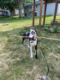 Lori Clouse (@LClouse13)